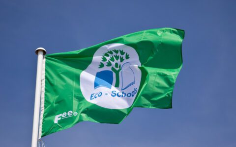 We've got our Green Flag!