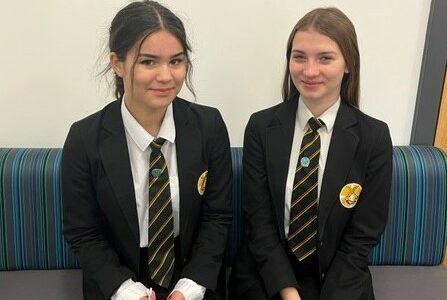 PE Badges