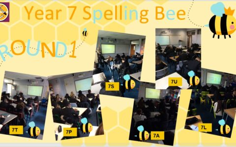 Year 7 Spelling Bee