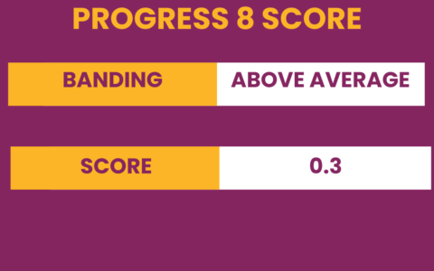 Progress 8 Score