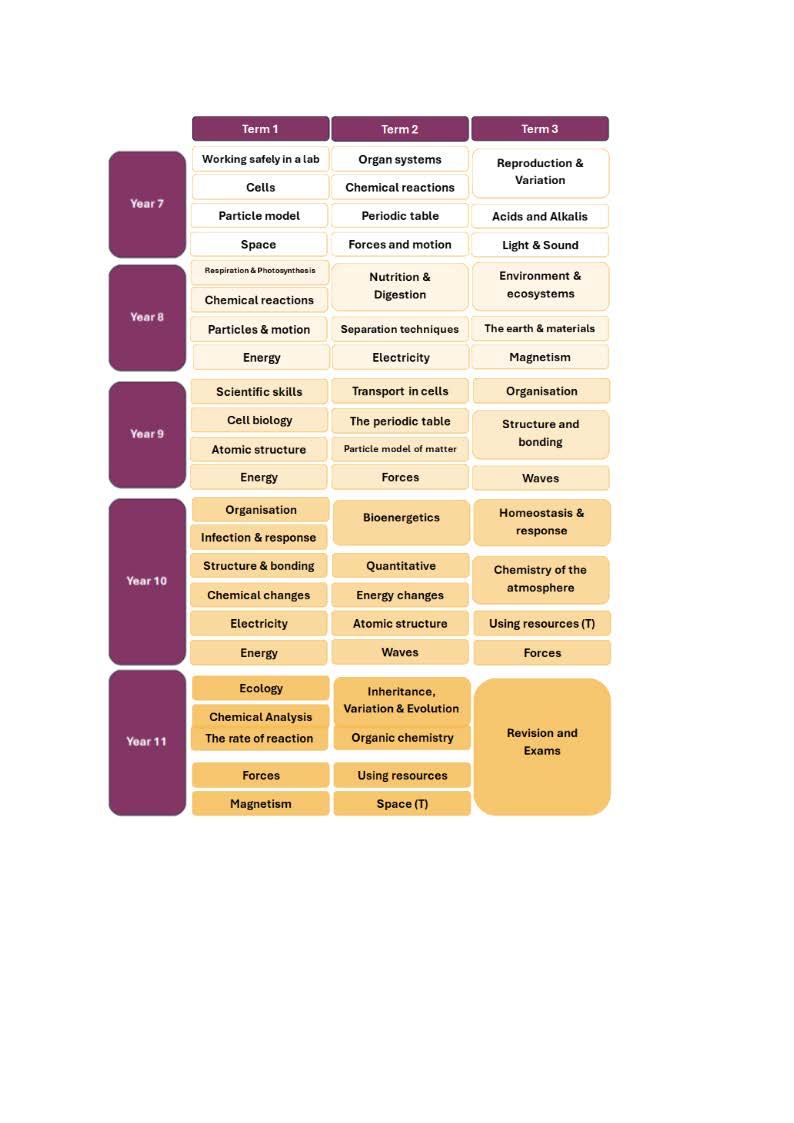 Term 1 2 + 3 Graphic