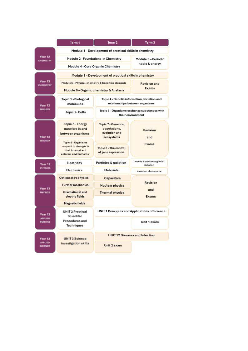 Term 1 2 & 3 Sixth Form Graphic